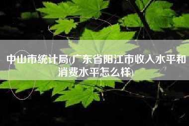 中山市统计局(广东省阳江市收入水平和消费水平怎么样)