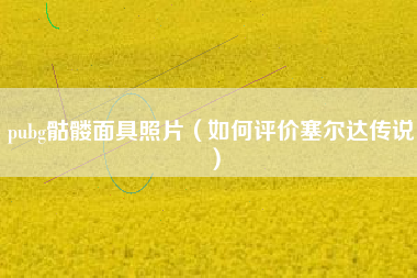 pubg骷髅面具照片（如何评价塞尔达传说）