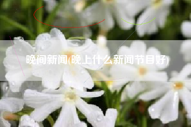 晚间新闻(晚上什么新闻节目好)