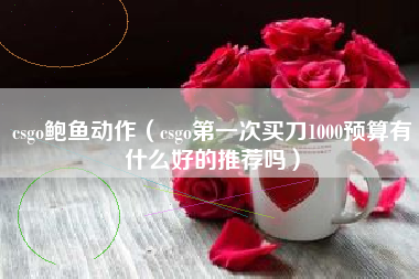 csgo鲍鱼动作（csgo第一次买刀1000预算有什么好的推荐吗）