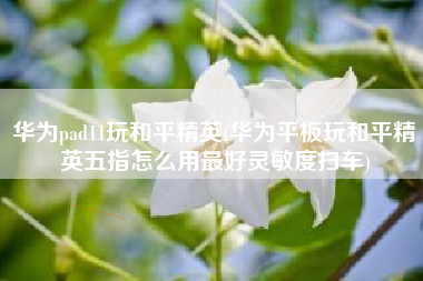 华为pad11玩和平精英(华为平板玩和平精英五指怎么用最好灵敏度扫车)