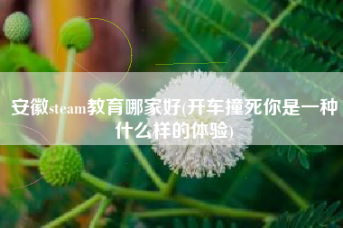 安徽steam教育哪家好(开车撞死你是一种什么样的体验)