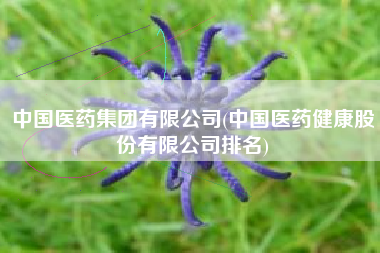 中国医药集团有限公司(中国医药健康股份有限公司排名)