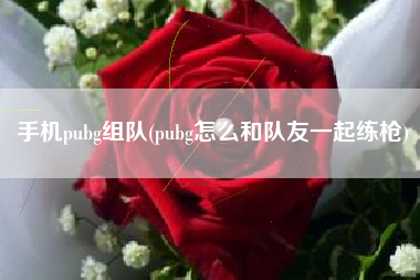 手机pubg组队(pubg怎么和队友一起练枪)