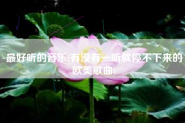 最好听的音乐(有没有一听就停不下来的欧美歌曲)