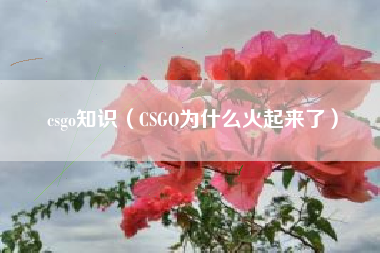 csgo知识（CSGO为什么火起来了）