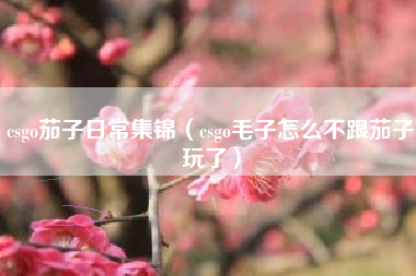 csgo茄子日常集锦（csgo毛子怎么不跟茄子玩了）