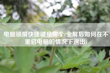 电脑锁屏快捷键是哪个(全屏后如何在不重启电脑的情况下退出)