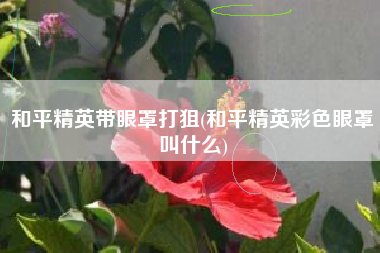 和平精英带眼罩打狙(和平精英彩色眼罩叫什么)