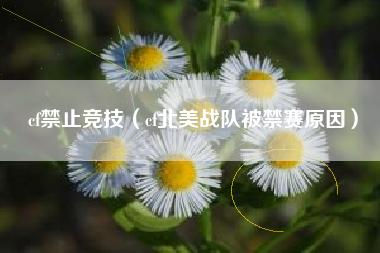 cf禁止竞技（cf北美战队被禁赛原因）