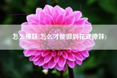 怎么撩妹(怎么才能做到花式撩妹)