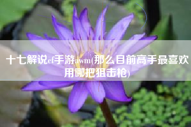 十七解说cf手游awm(那么目前高手最喜欢用哪把狙击枪)