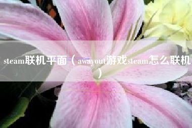 steam联机平面（awayout游戏steam怎么联机）