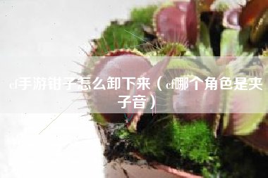 cf手游钳子怎么卸下来（cf哪个角色是夹子音）