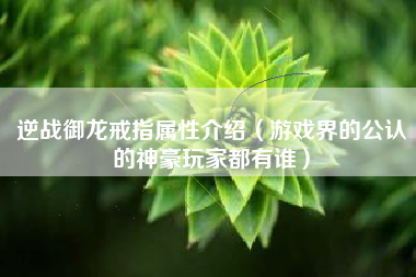 逆战御龙戒指属性介绍（游戏界的公认的神豪玩家都有谁）