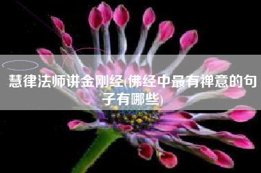 慧律法师讲金刚经(佛经中最有禅意的句子有哪些)