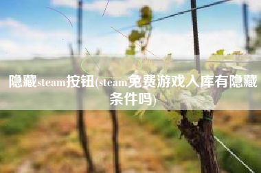 隐藏steam按钮(steam免费游戏入库有隐藏条件吗)