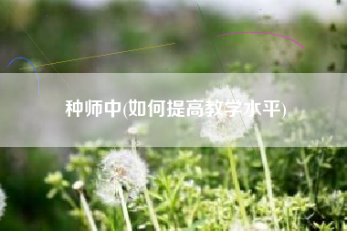 种师中(如何提高教学水平)