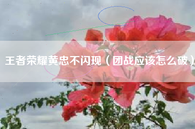 王者荣耀黄忠不闪现（团战应该怎么破）