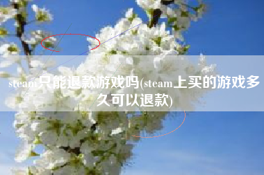 steam只能退款游戏吗(steam上买的游戏多久可以退款)