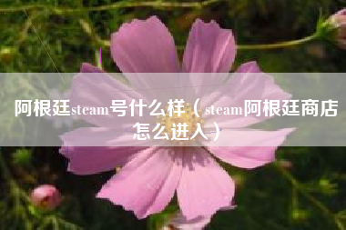 阿根廷steam号什么样（steam阿根廷商店怎么进入）