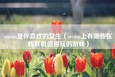 steam是你喜欢的女生（steam上有哪些在线联机值得玩的游戏）