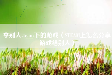 拿别人steam下的游戏（STEAM上怎么分享游戏给别人）