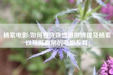 杨紫电影(如何看待饶雪漫微博提及杨紫以及苏有朋的电影左耳)