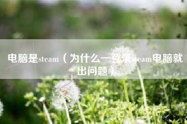 电脑是steam（为什么一登录steam电脑就出问题）