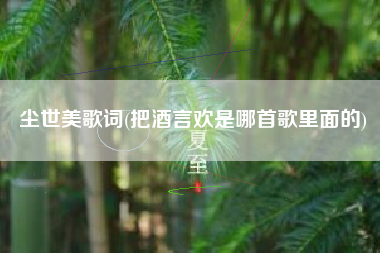 尘世美歌词(把酒言欢是哪首歌里面的)