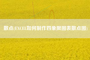 散点(EXCEL如何制作四象限图表散点图)