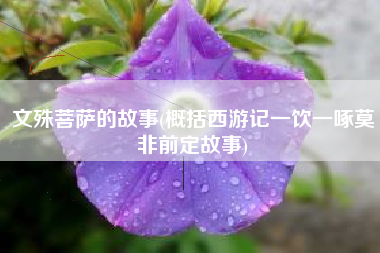 文殊菩萨的故事(概括西游记一饮一啄莫非前定故事)