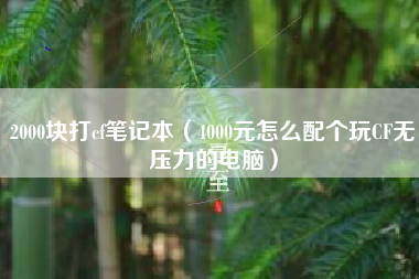 2000块打cf笔记本（4000元怎么配个玩CF无压力的电脑）