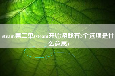 steam第二单(steam开始游戏有3个选项是什么意思)