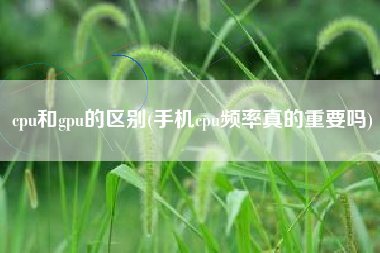 cpu和gpu的区别(手机cpu频率真的重要吗)