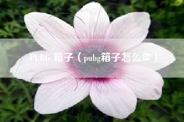 PUBG 箱子（pubg箱子怎么卖）