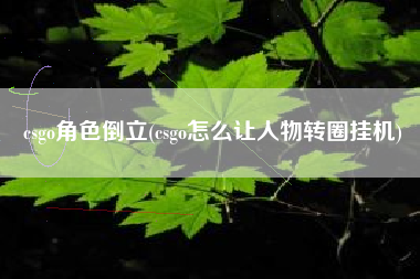 csgo角色倒立(csgo怎么让人物转圈挂机)