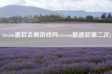 steam退款会删游戏吗(steam能退款第二次)