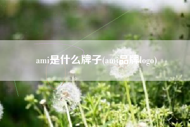 ami是什么牌子(ami品牌logo)