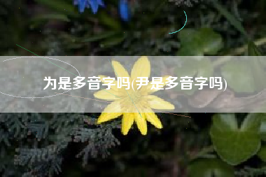 为是多音字吗(尹是多音字吗)