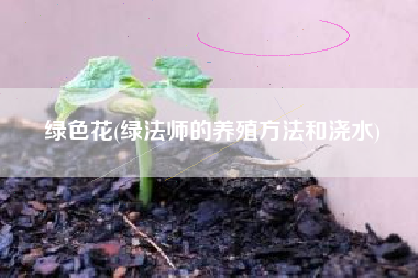 绿色花(绿法师的养殖方法和浇水)