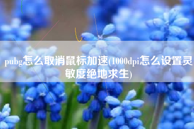 pubg怎么取消鼠标加速(1000dpi怎么设置灵敏度绝地求生)