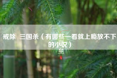 戒除  三国杀（有哪些一看就上瘾放不下的小说）