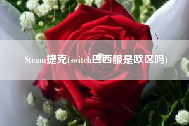 Steam捷克(switch巴西服是欧区吗)