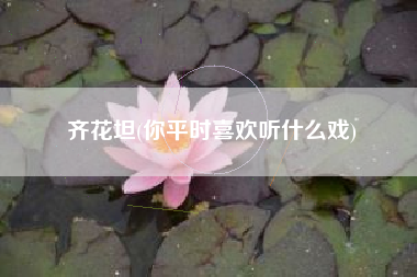 齐花坦(你平时喜欢听什么戏)