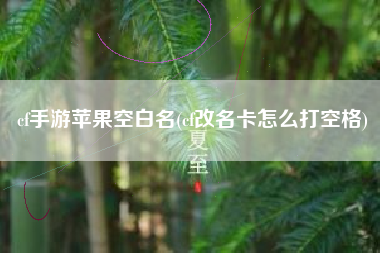 cf手游苹果空白名(cf改名卡怎么打空格)