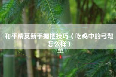 和平精英新手握把技巧（吃鸡中的弓弩怎么样）