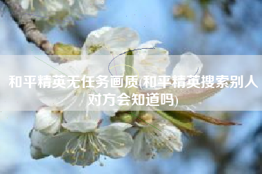 和平精英无任务画质(和平精英搜索别人对方会知道吗)