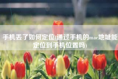 手机丢了如何定位(通过手机的mac地址能定位到手机位置吗)