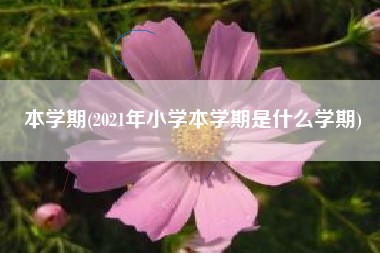 本学期(2021年小学本学期是什么学期)